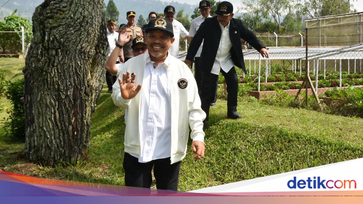 Johan Rosihan Calls for Halt to Garlic Imports: We Were Once Self-Sufficient