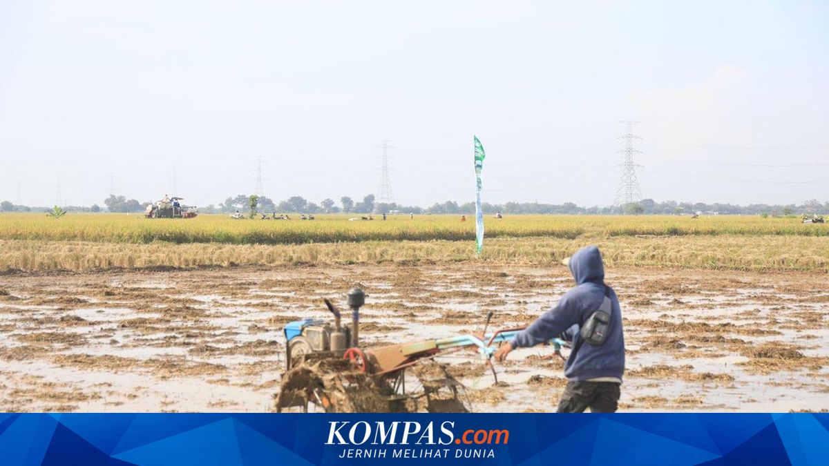 Supporting Food Security, Transmigrants Receive Agricultural Machinery Assistance