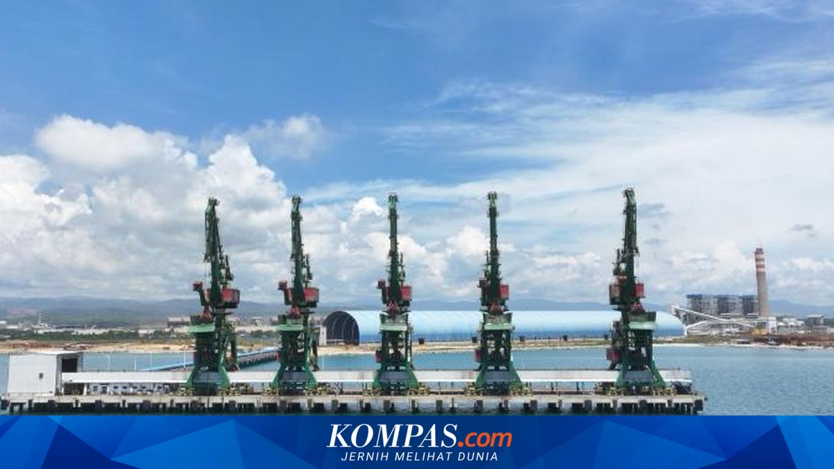 After Nickel, Huabao to Target Coconut Processing in Morowali