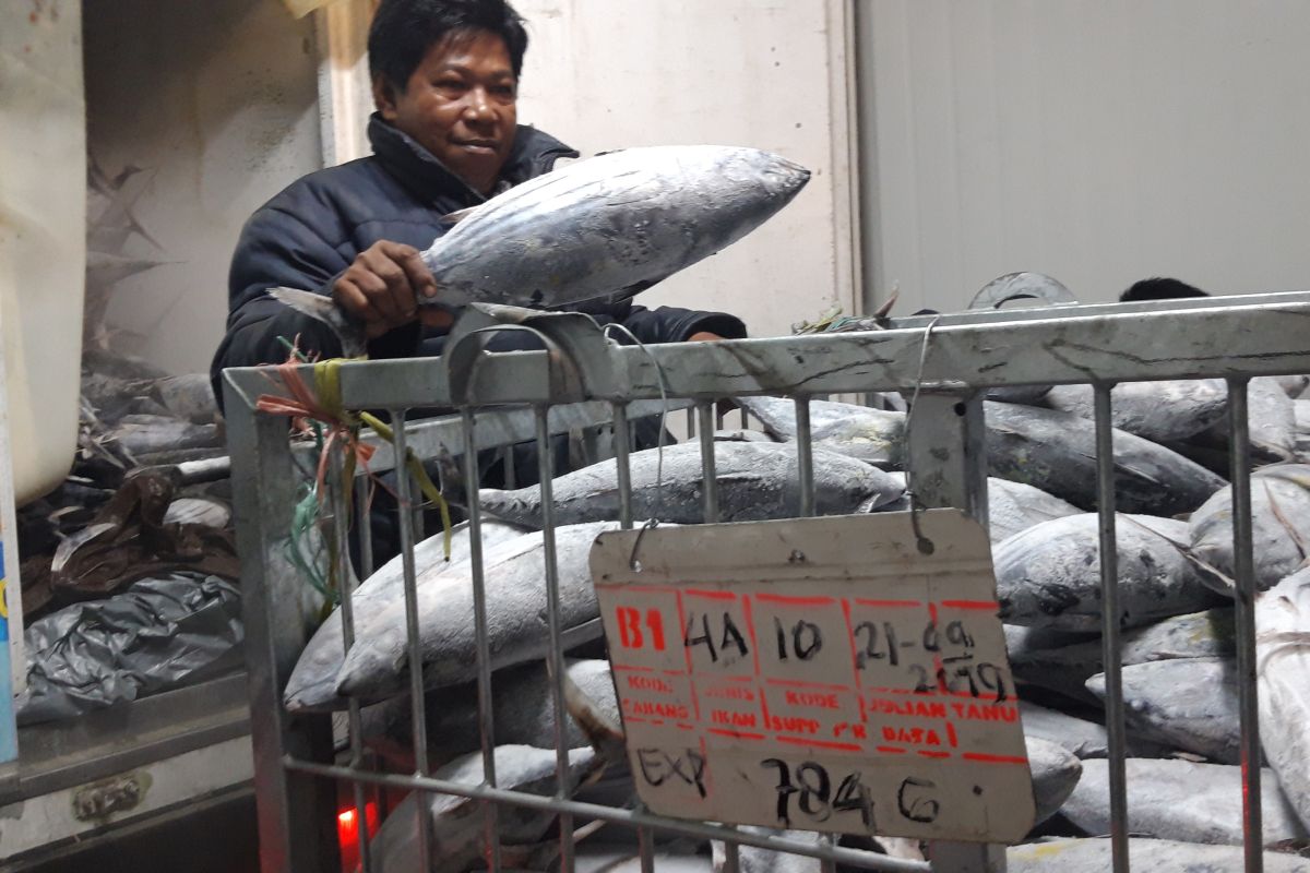 KKP Invites Businesspeople to Implement “Stelina” to Expand Access to Global Markets