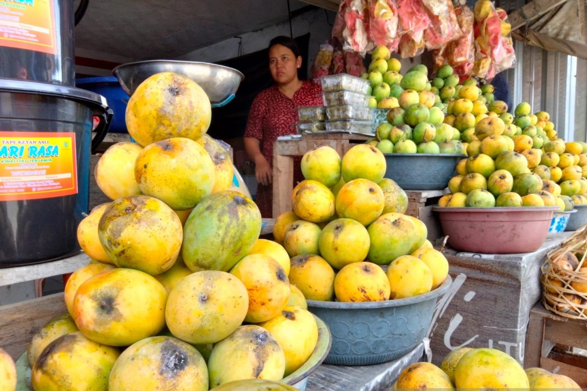 Sumedang Regency Promotes Mango and Chilli Commodities in HDDAP Programme