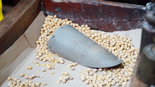 Government Steps In: Soybean Prices Capped at Rp12,000/kg