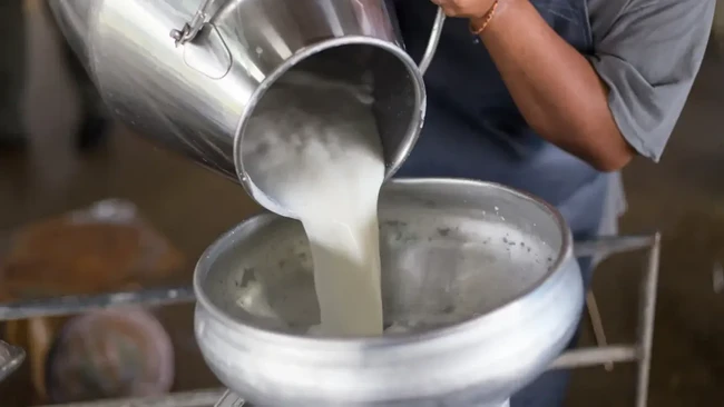 Indonesia's Milk Imports Rose from 'Just' 40% to Over 80%
