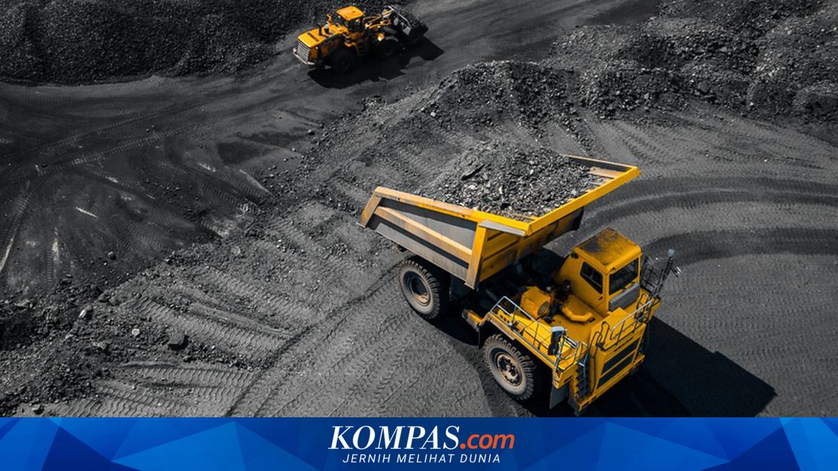 Production Control Strategy and Mining Permits: Efforts to Maintain Industry Stability