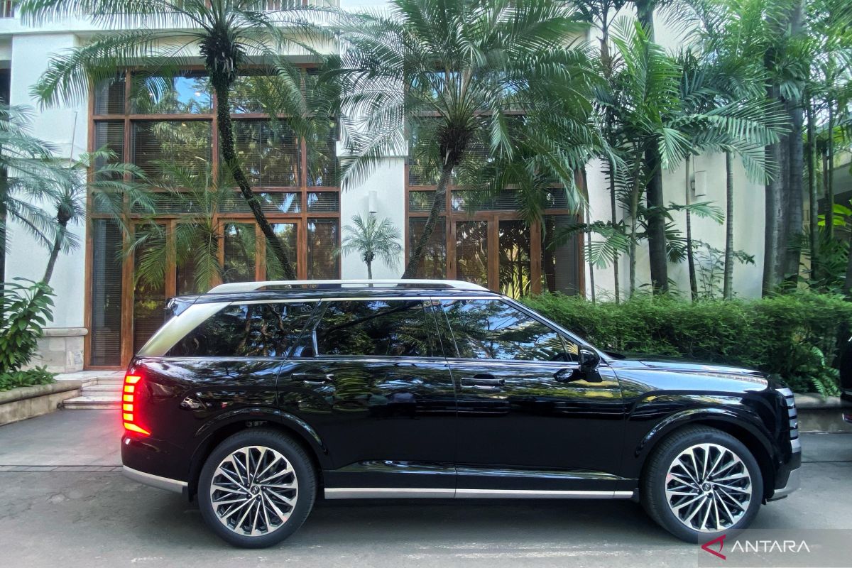 Hyundai Palisade Recalled in the US: What About Units in Indonesia?