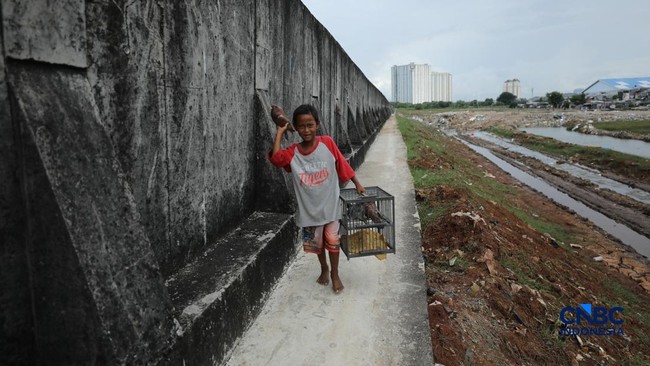 New Face of Muara Baru Beach Seawall: Giant Concrete Barrier Against Seawater