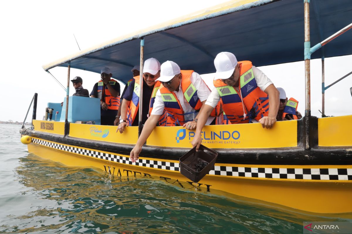 Bali Transportation Department Hopes to Trial Water Taxi This Year