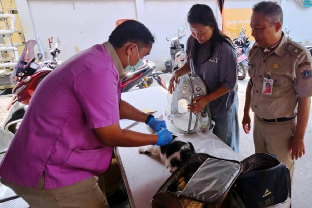 Jakbar KPKP Sub-District Vaccinates Dozens of Rabies-Transmitting Animals in Tambora