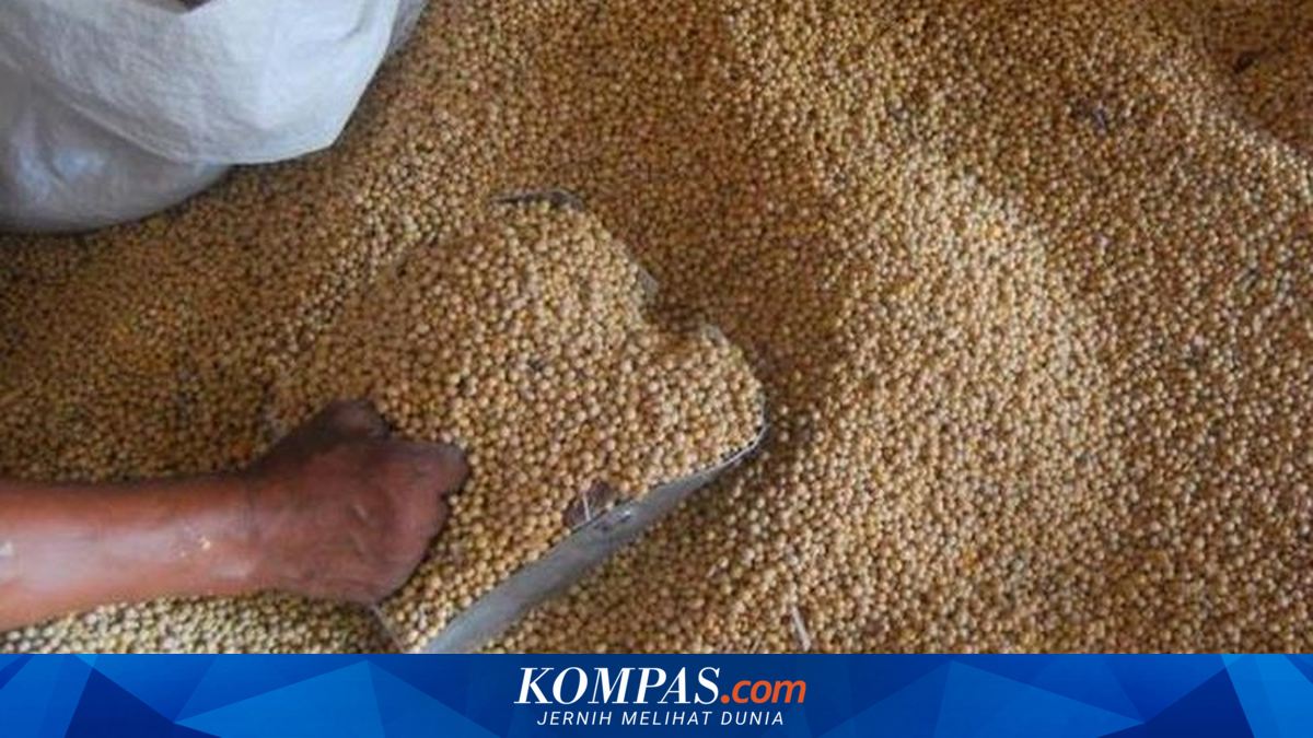 Ministry of Agriculture: Soybean Importers and Tofu-Tempeh Producers Agree to Maintain Reference Selling Price at Rp 11,500