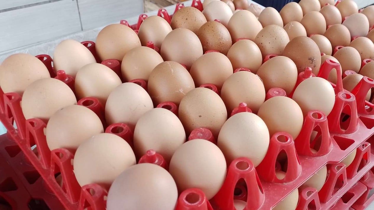 Food Prices Today: Red Bird's Eye Chilli Rp 83,100 per Kg, Chicken Eggs Rp 32,550