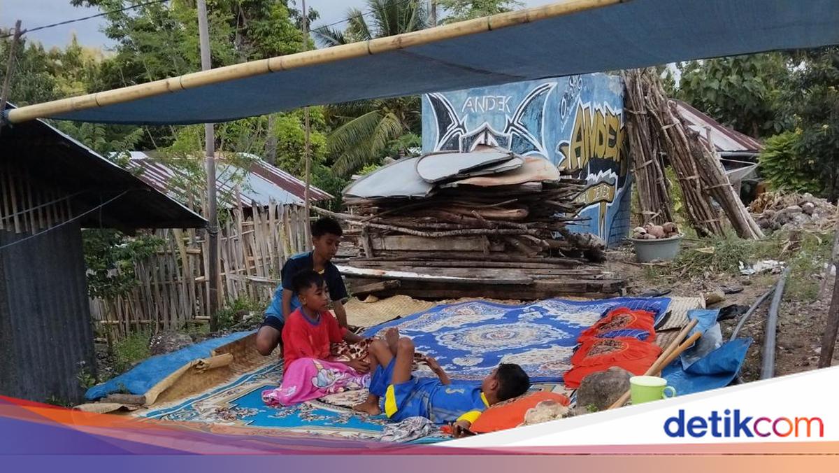 Aftershocks Continue in East Flores, 1,313 People Displaced