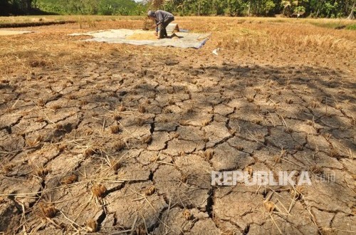 Dry Season Predicted Until September, Semarang City Government Prepares Aid of 1 Million Litres of Clean Water