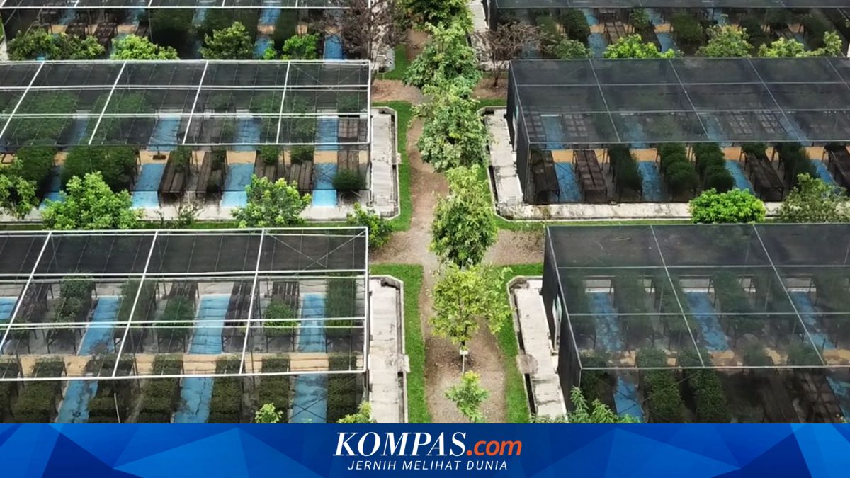 Adaro Promotes Sustainable Mining Practices and Social Innovation