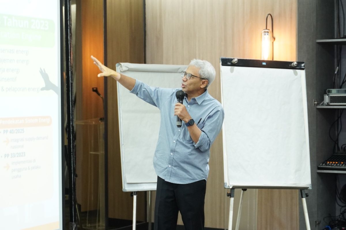Energy efficiency key to bolstering energy security: Council