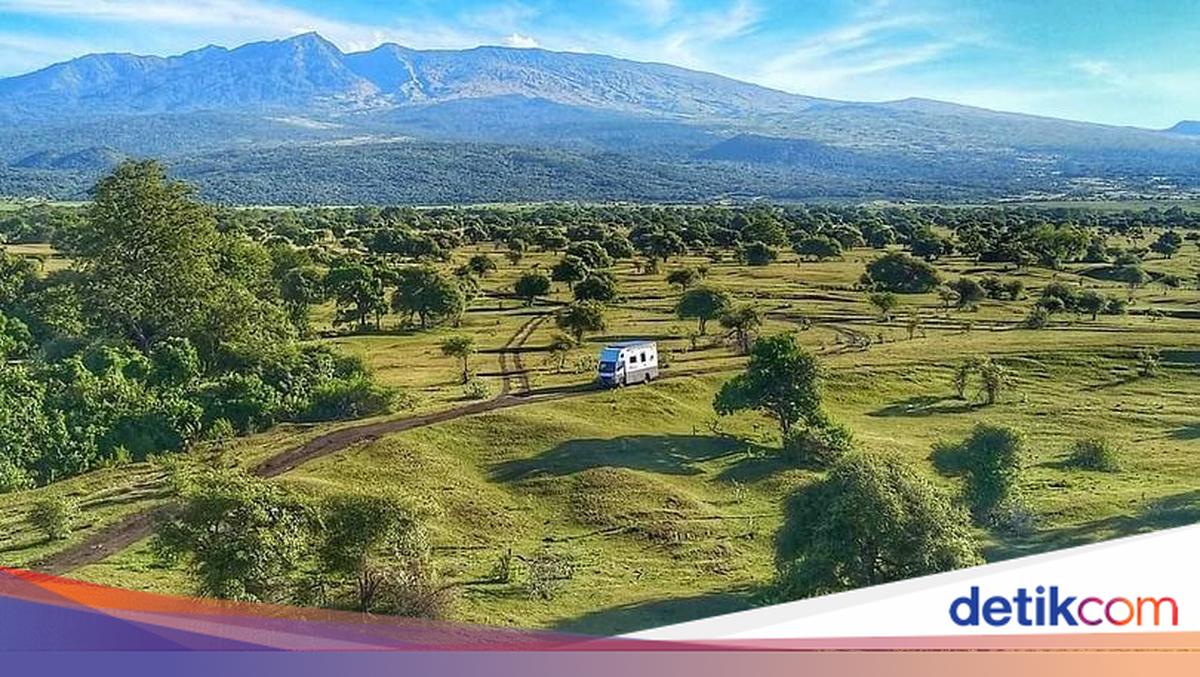 Boosting Tourist Visits, Tambora National Park to Host National Running Event