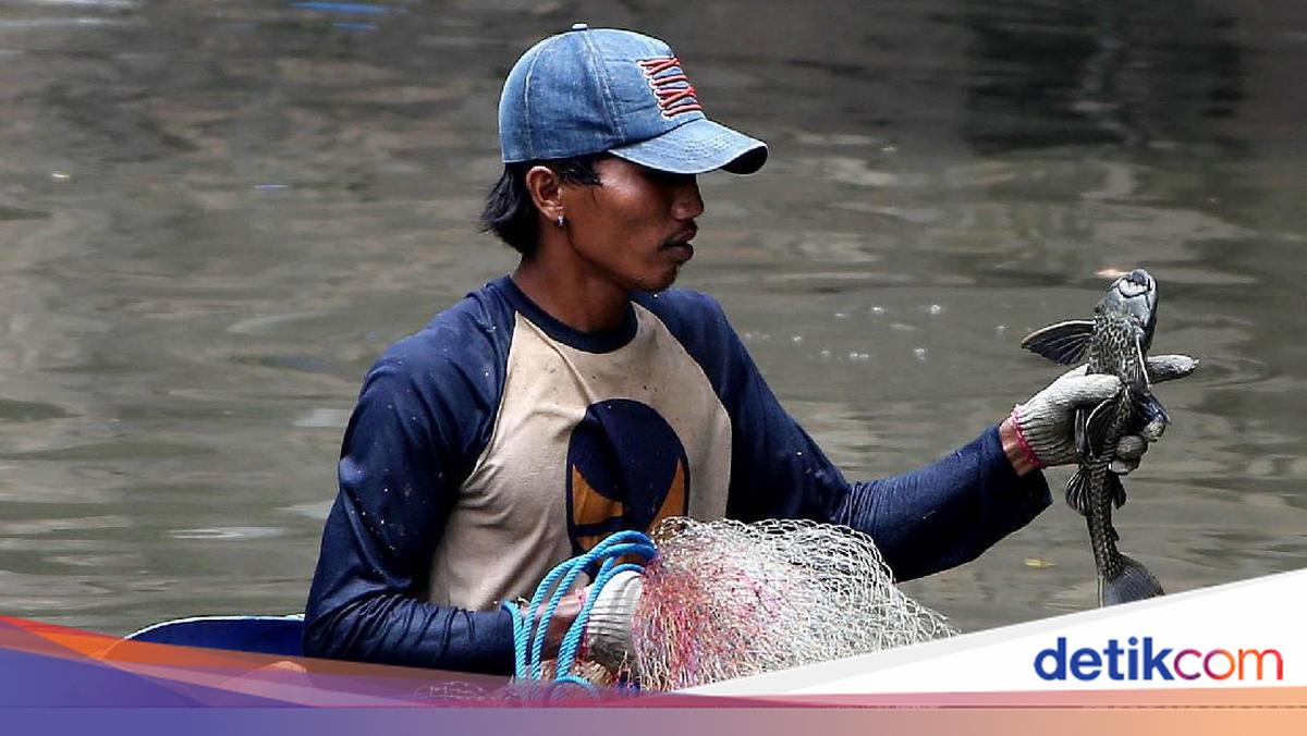 Pram Supports Hunt for Plecos to Protect Aquatic Ecosystems