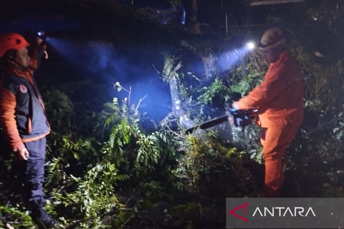 BPBD Handles Fallen Tree Blocking Main Bandung-Cianjur Route