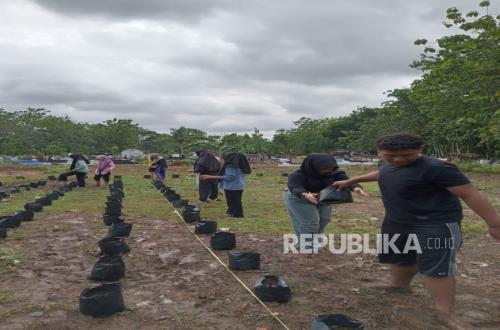 Monitoring the MBG Kitchen Supply Chain, Gunungkidul Punk Farmers Rely on AI Technology