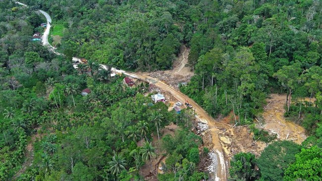 Foreign Researcher Suddenly Reveals Threat in Tapanuli, Why?