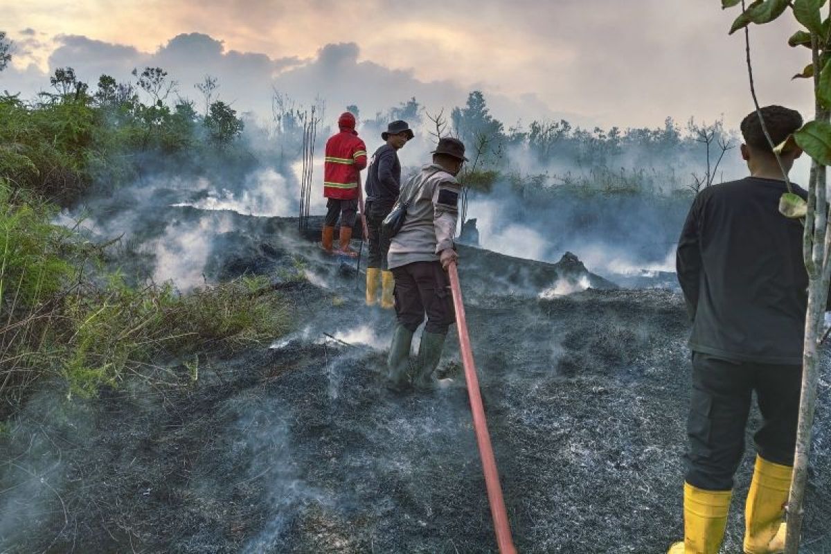 Struggle to extinguish forest and land fires in the quiet border region