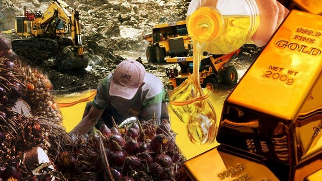 Weekly Review: Global Oil and Coal Prices Drop in Tandem!