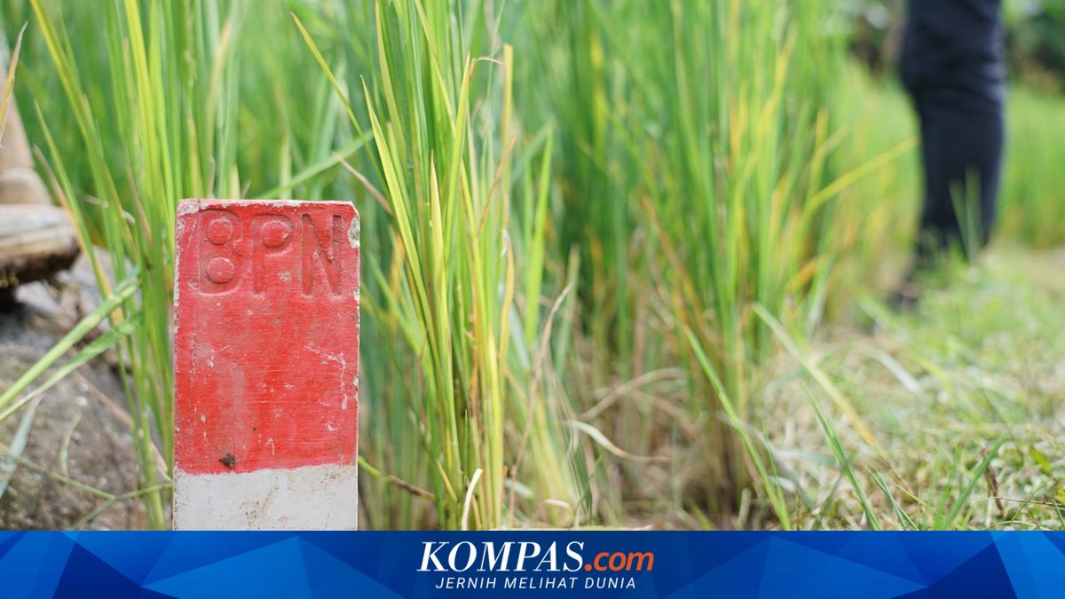 247,913 Land Parcels in NTB at Risk of Latent Disputes