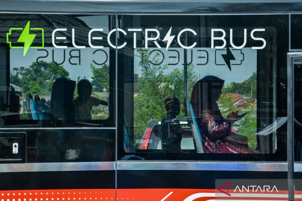Expert: Transformation of public transportation key to energy independence
