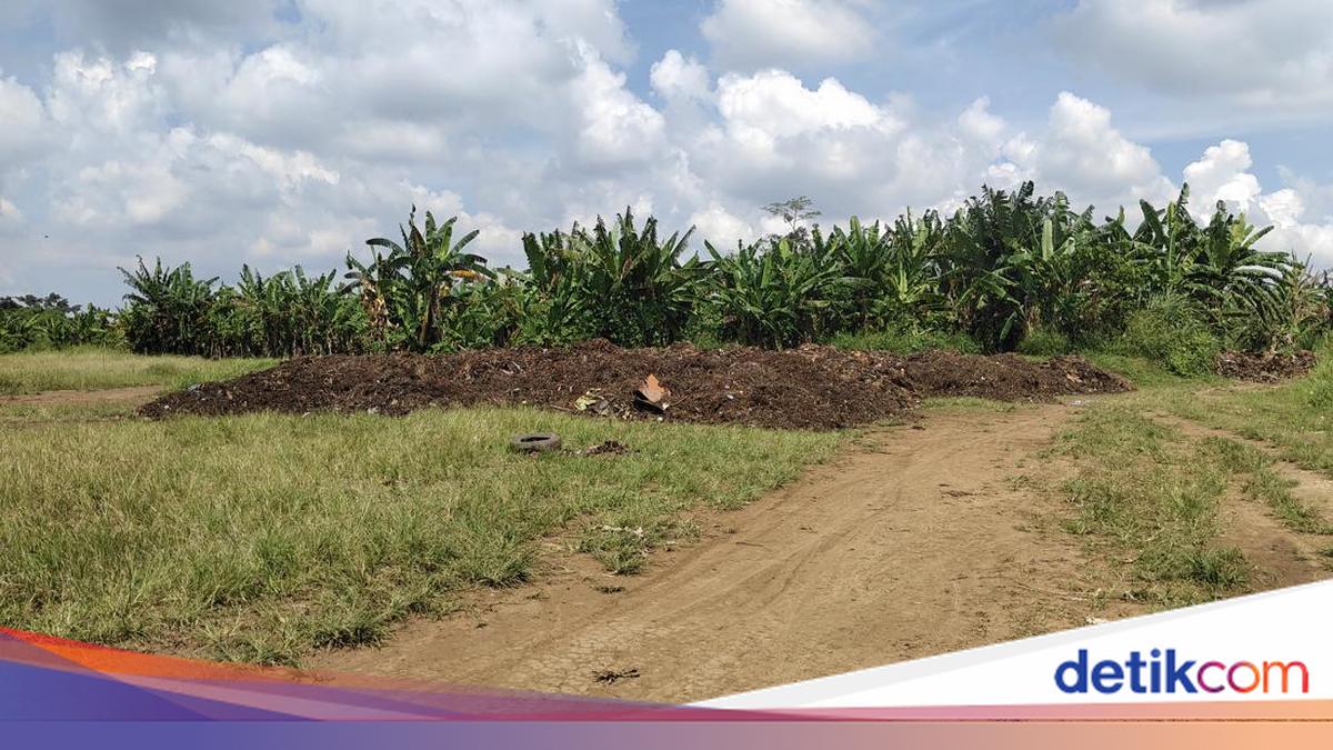 Badung Regency Prepares Sites for Storing Compost Raw Materials at Several Locations