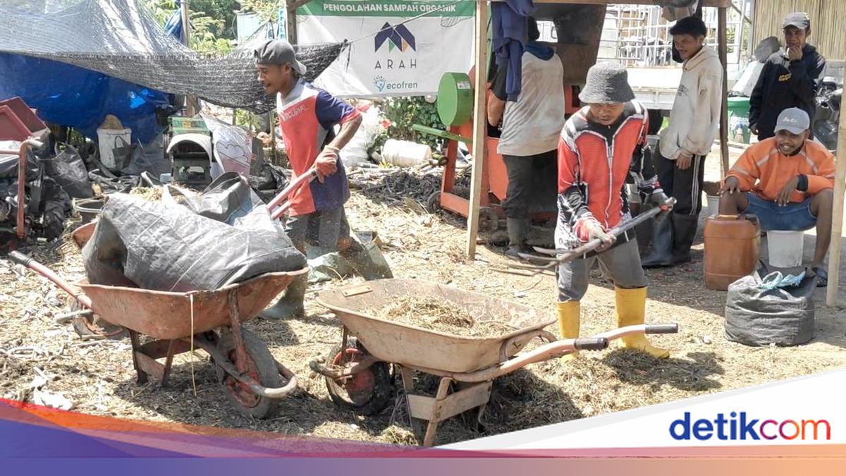 Urban Compost Bali Offers Organic Waste Processing Service for Rp 200,000 per Month