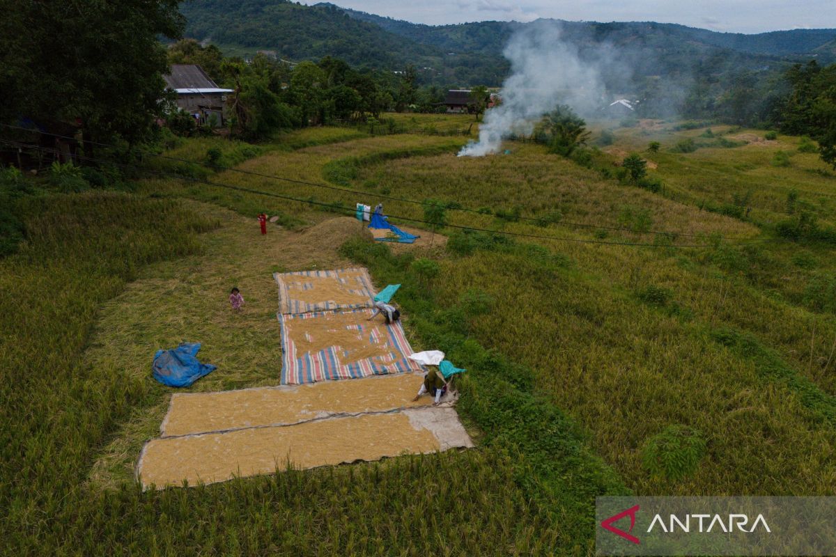 Indonesia's food security holds firm amid global pressure