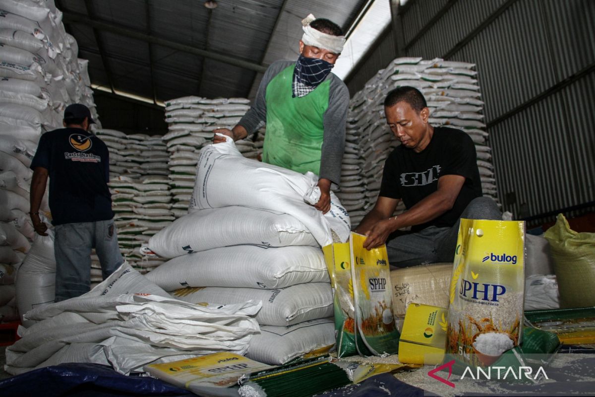 Bulog's Warehouse Capacity and Price Stability During the Main Harvest