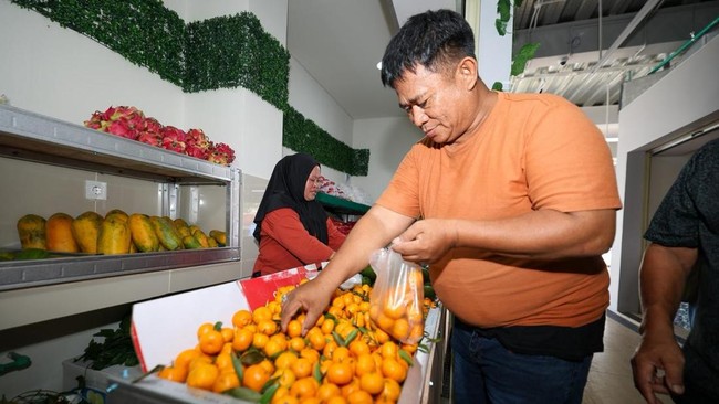 IKN Boasts Market Like in a Developed Nation, with an Unexpected Appearance