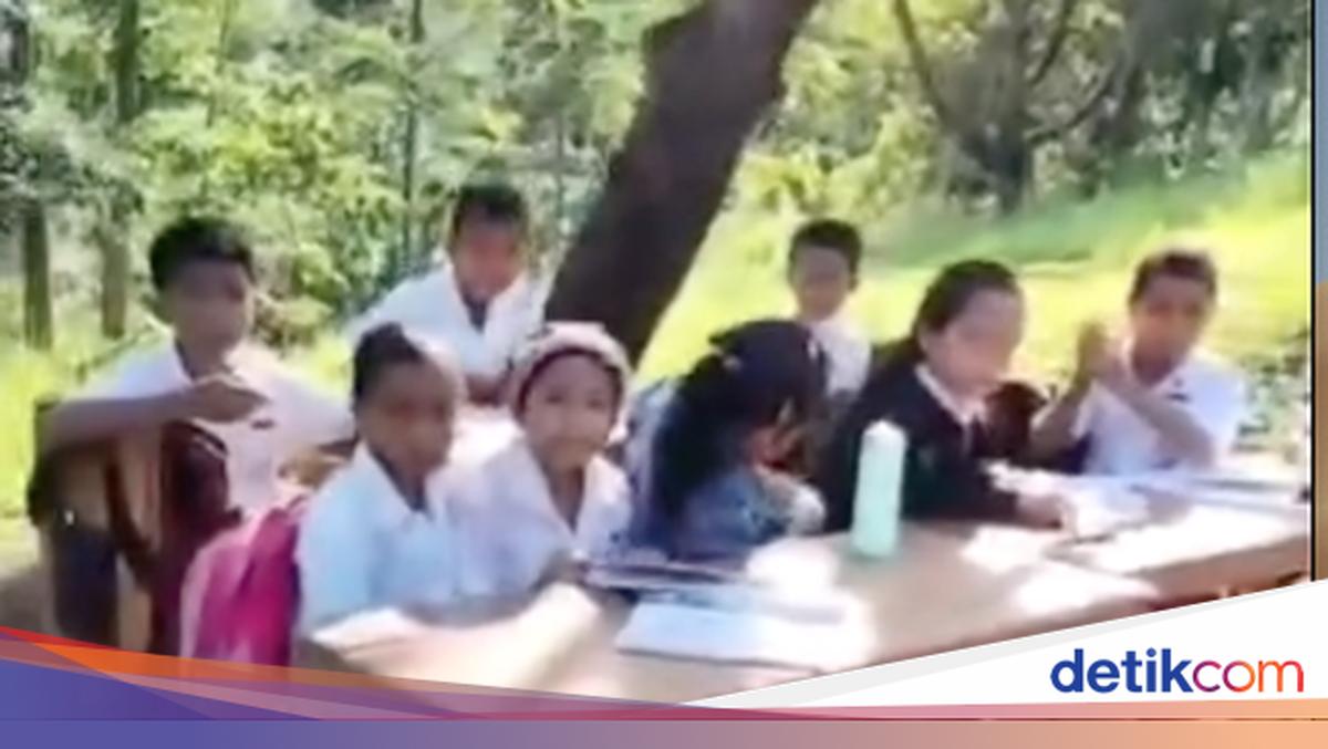 After 8 Years of Waiting, SDN Tando Receives Attention Following Viral Video of Lessons Under a Tree