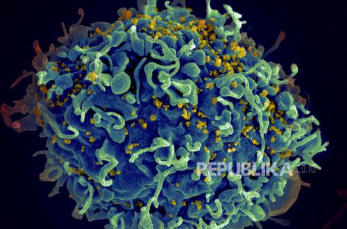 HIV Looms Over Generation Z, Education Must Enter the Digital World