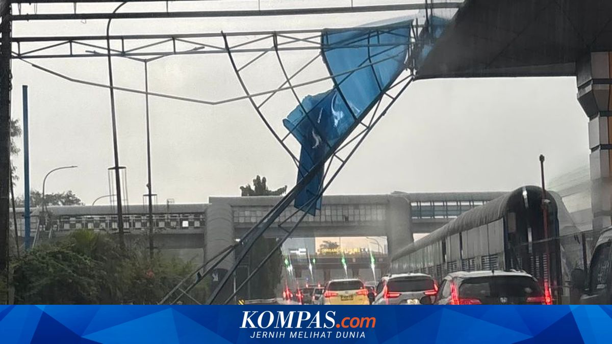 Extreme Weather Causes Trees to Fall on Toll Road, Jasa Marga Evacuates