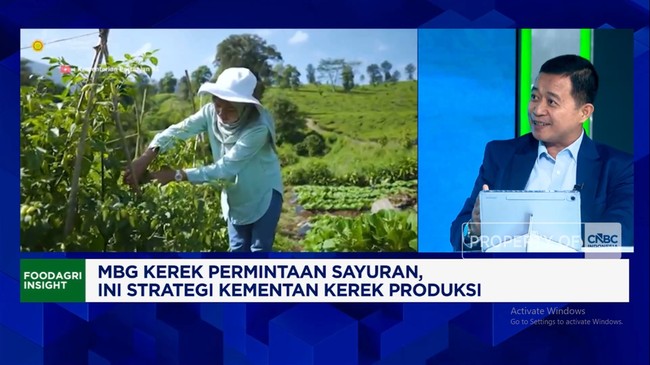 Video: Ministry of Agriculture: Rising Demand, MBG Makes Farmers Happy to Plant Vegetables
