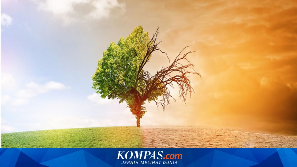 Earth's Temperature Rises by 0.35 Degrees Celsius, UGM Expert Warns of Extreme Weather Threats