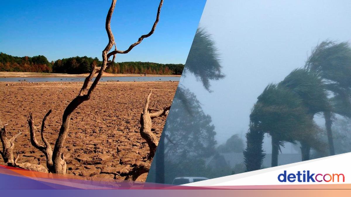 What is the Difference Between El Niño and La Niña? Understand Their Impacts on Indonesia