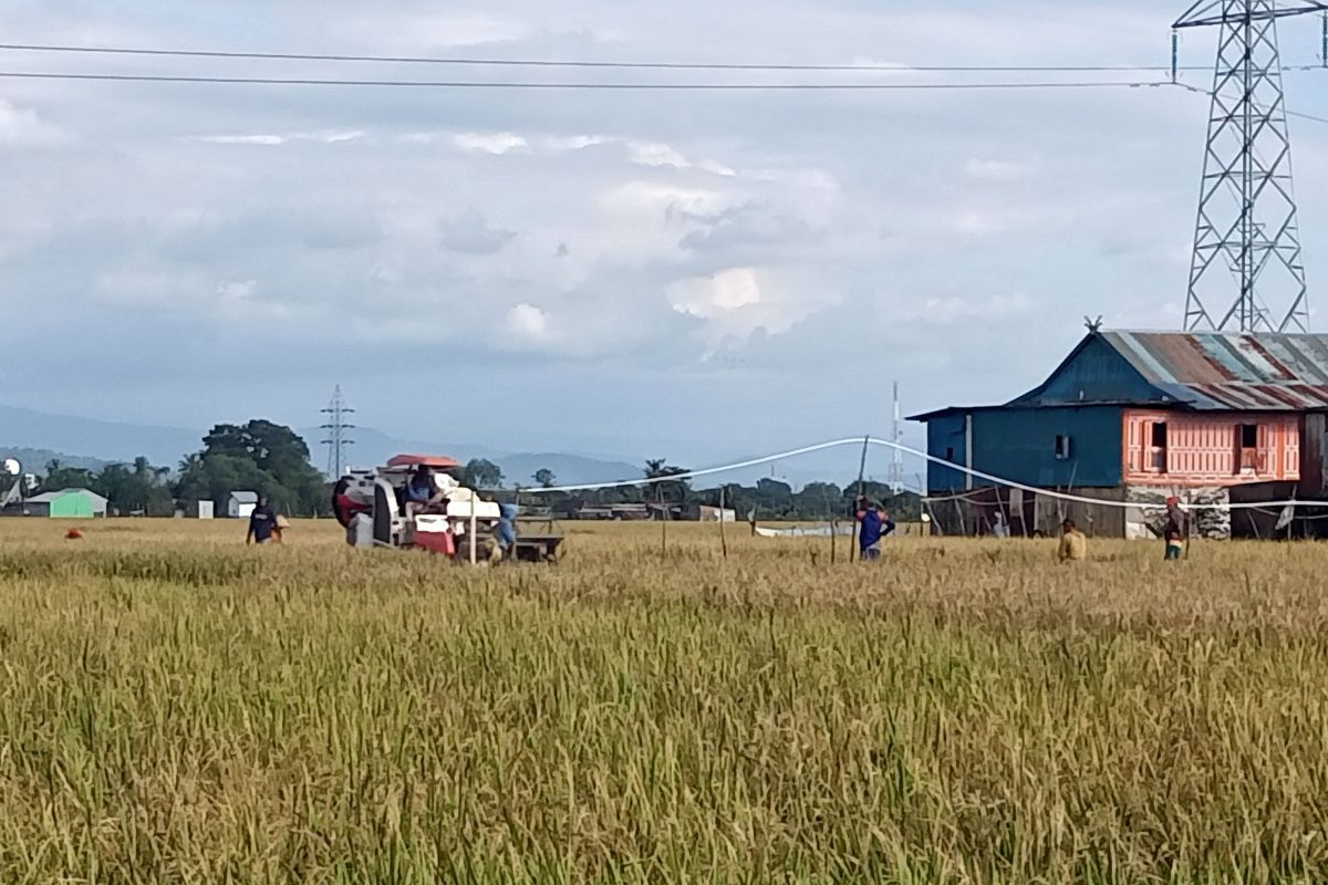 Dry Season: Muhammadiyah Urges Public Vigilance Against El Niño Threats