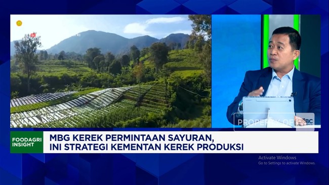 Video: Vegetables for MBG, Millennial Farmers - Smart Farming Deployed