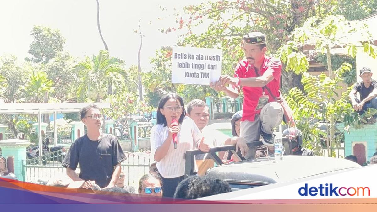 Tourism Operators Reject Komodo National Park Quota: Every Regulation Makes Us Cry