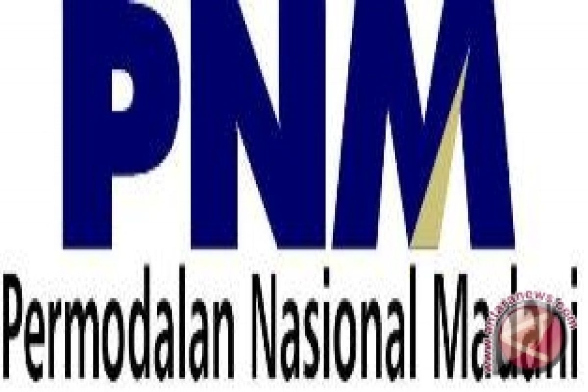 The Urgency of Transforming PNM into a Specialised Bank for MSMEs