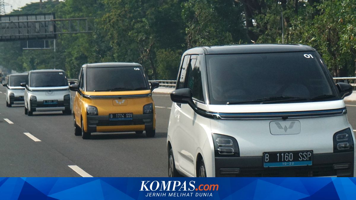 Fuel Price Hike Concerns Spark Interest in Used Electric Vehicles