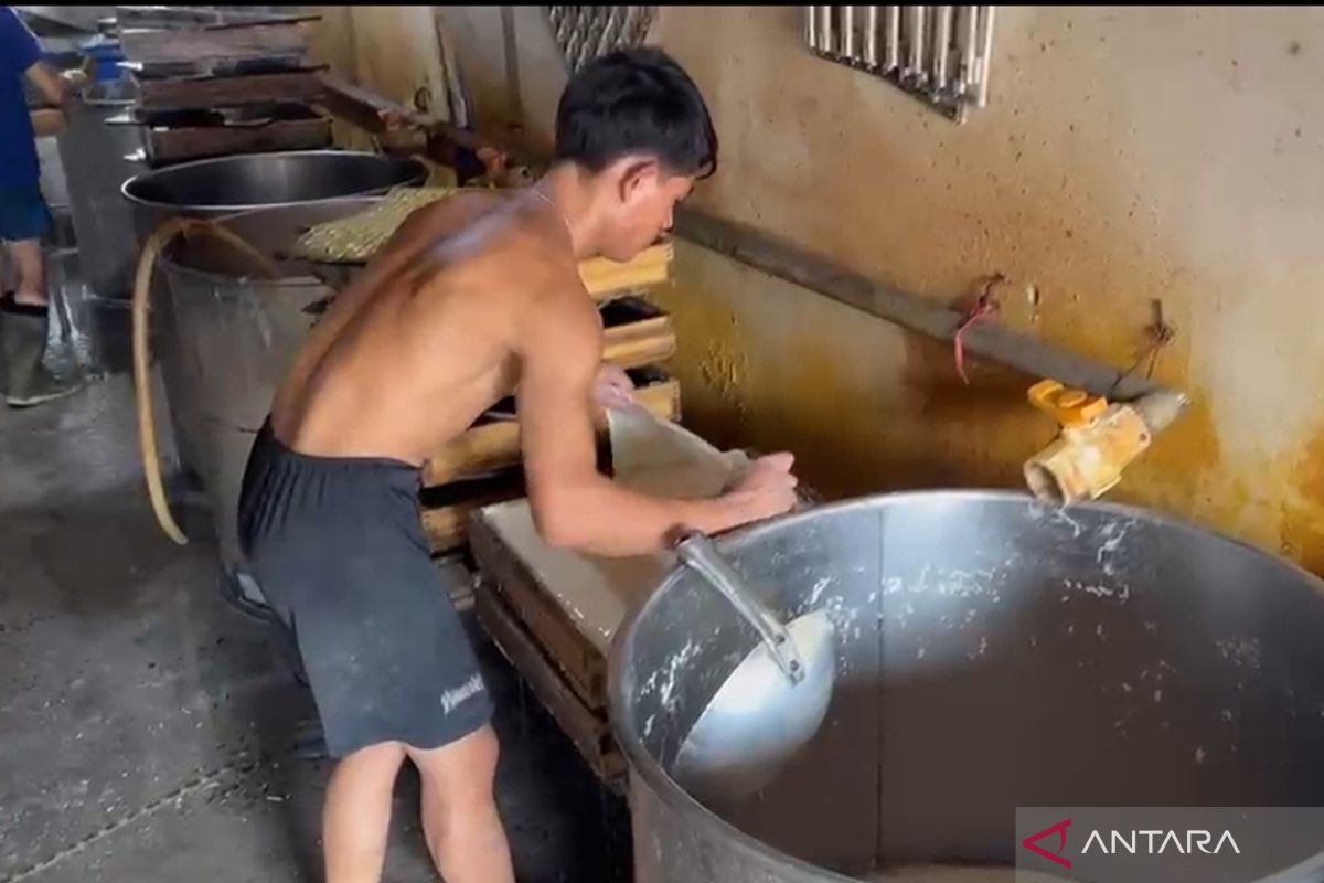 Tofu and Tempeh Producers in West Jakarta Complain About Rising Soybean Prices