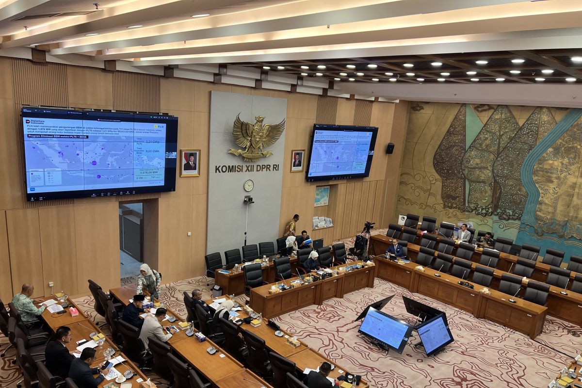 PLN states that gas and coal power plant operation days remain stable