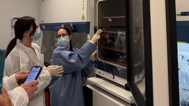 Unfamiliar Startup Creates Chips Directly from Human Brain Cells