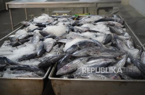 KKP Partners with E-Commerce to Boost Digital Literacy for KNMP Managers