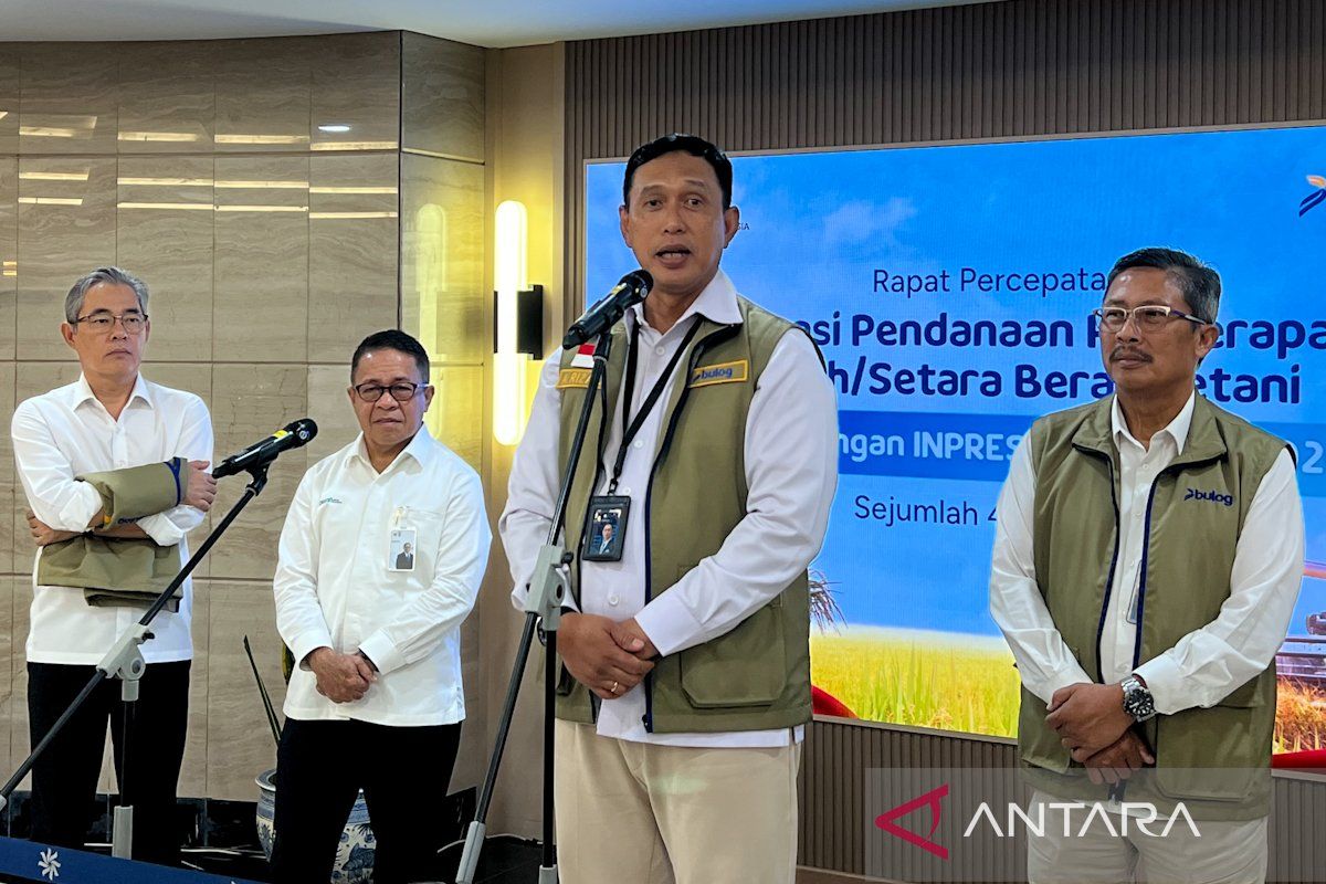 Bulog Receives 2 Percent Interest Subsidy to Pursue Absorption of 4 Million Tons of Rice