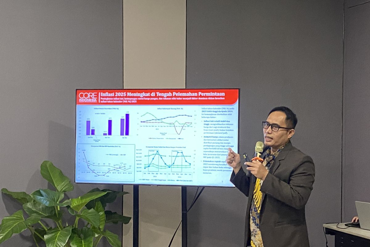 Economist: Fiscal risks anticipated with more targeted APBN efficiency