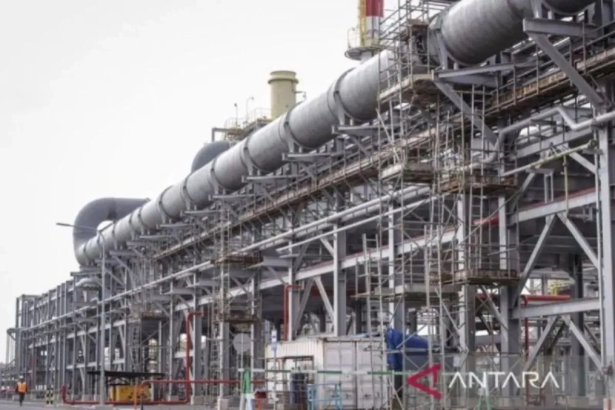 Freeport Indonesia contributes dividends and non-tax state revenue worth Rp187 trillion